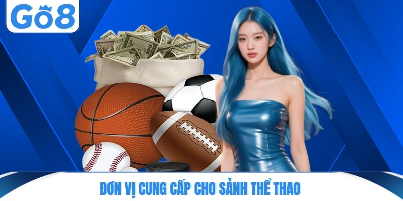 Đơn vị cung cấp cho sảnh thể thao