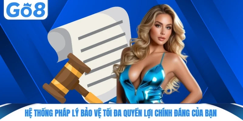Hệ thống pháp lý bảo vệ tối đa quyền lợi chính đáng của bạn