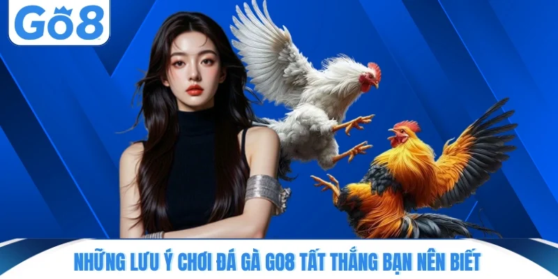 Những lưu ý chơi đá gà GO8 tất thắng bạn nên biết