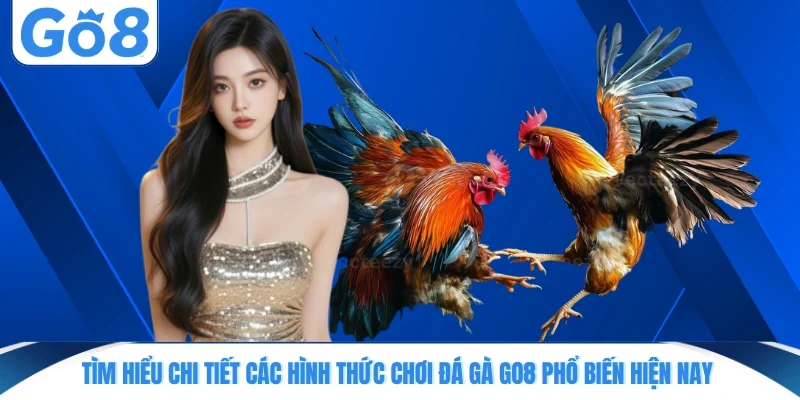 Tìm hiểu chi tiết các hình thức chơi đá gà GO8 phổ biến hiện nay